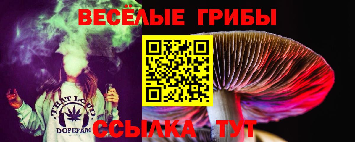 Галлюциногенные грибы Psilocybe Кулебаки
